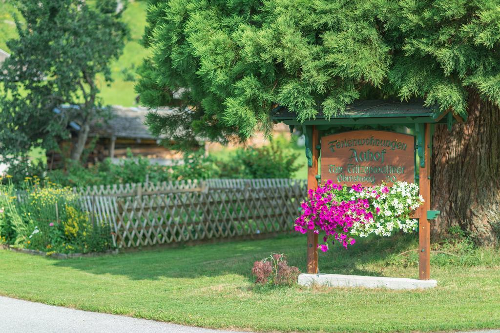 Bauernhof Auhof Apartamento Wagrain Exterior foto
